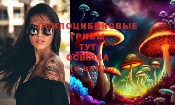 гидра Абаза