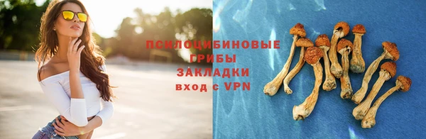 а пвп мука Абдулино