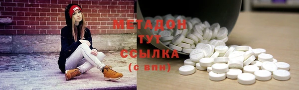 гидра Абаза