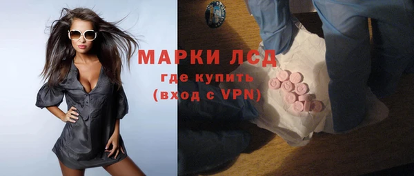 гидра Абаза