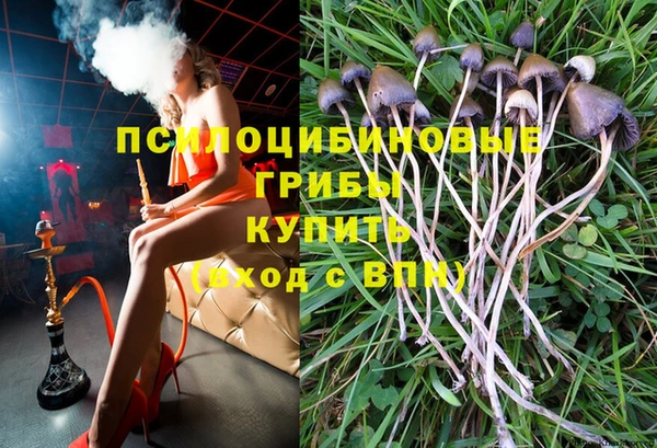 гидра Абаза