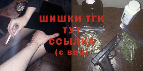 гидра Абаза