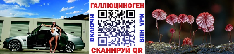 blacksprut ССЫЛКА  Чекалин  Псилоцибиновые грибы мицелий  купить  сайты 